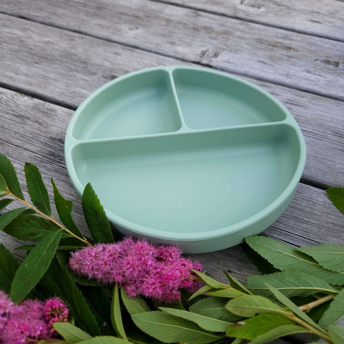 Summerville Organic Tallerken delt silikon, cameo green